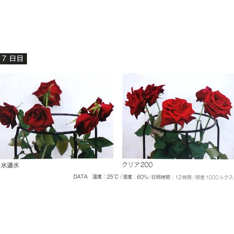 クリア200 10L 448088 プロ用切花鮮度保持剤 フローラライフ イP 代引不可 |  | 01