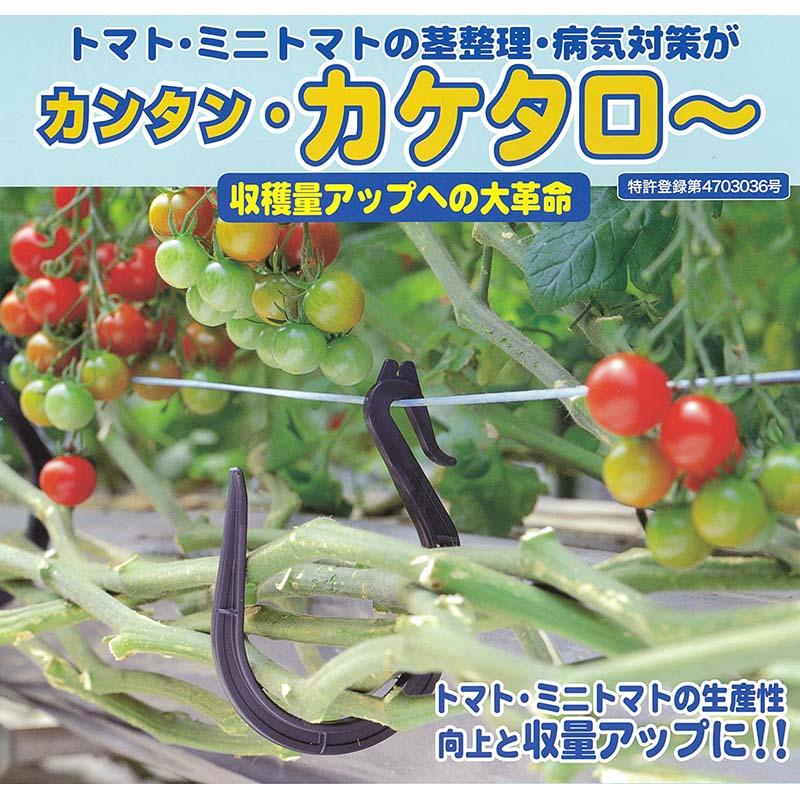 100個 カケタロー TAR-800 カケタロ〜 黒 トマト シーム タS 代引不可 |  | 01