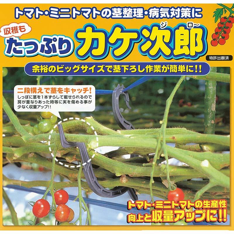 50個 たっぷり カケ次郎 KJR-50 黒 トマト シーム トマト誘引資材 誘引具 かんたん タS DZ |  | 01