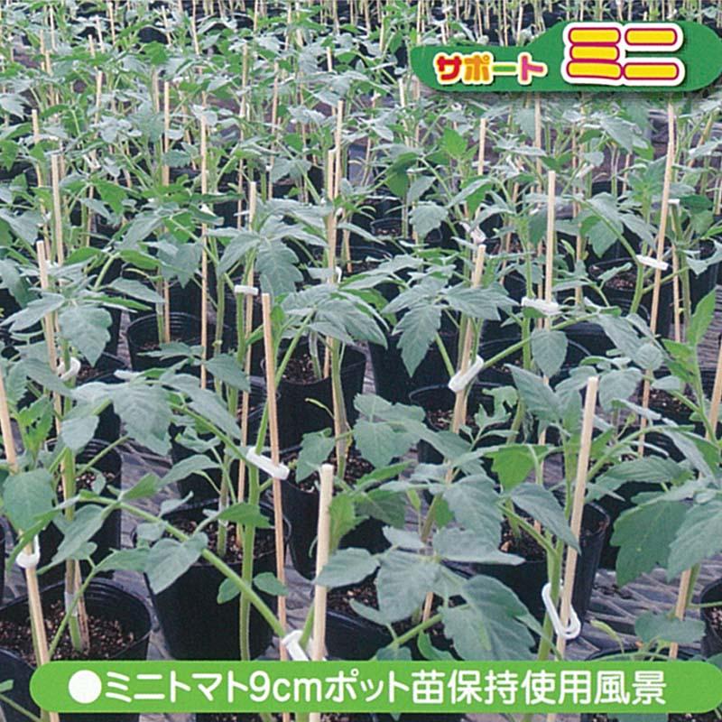 サポートミニ オレンジ 5000個 SPM-O50 苗倒れ防止 保持具 シーム タS 代引不可 |  | 02