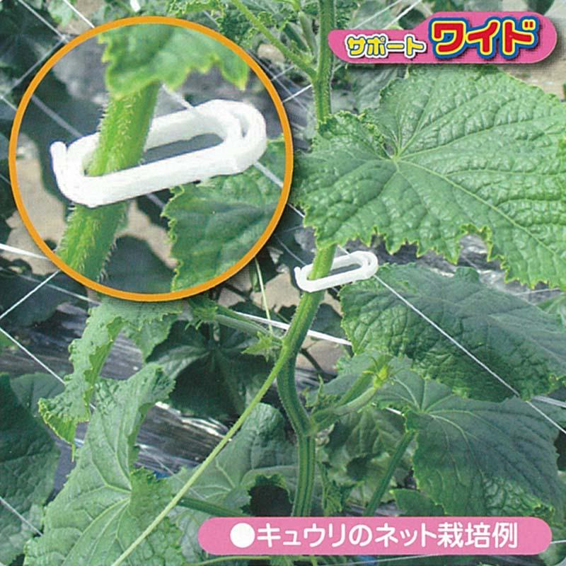 サポートワイド 赤 1000個 SPW-R10 苗 倒れ防止 保持具 シーム タS 代引不可 |  | 03