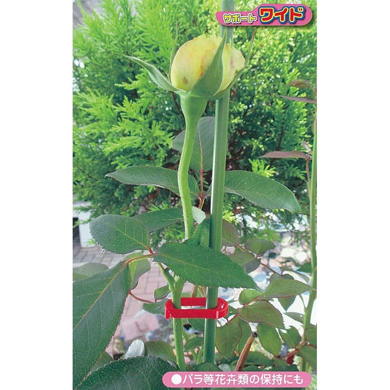 サポートワイド 白 1000個×10袋 SPW-W10 苗 倒れ防止 保持具 シーム タS 代引不可 |  | 02