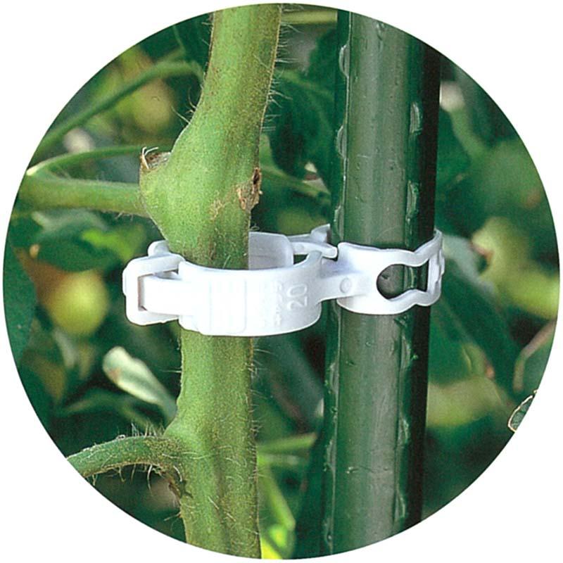 3600個(300個×12袋) しちゅうキャッチ 11 緑 直径11mm イボ竹用 支柱・ワイヤー棚誘引用 シーム タS 代引不可 | 