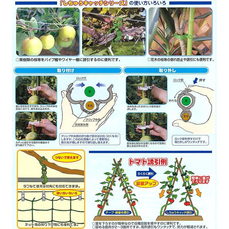 3600個(300個×12袋) しちゅうキャッチ 11 緑 直径11mm イボ竹用 支柱・ワイヤー棚誘引用 シーム タS 代引不可 |  | 04