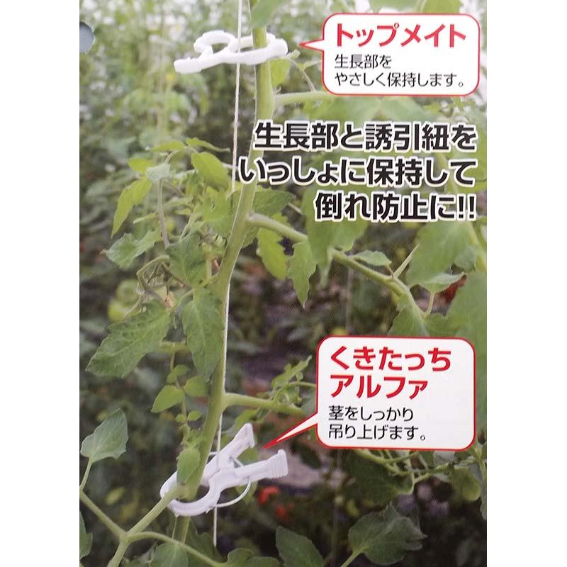 トップメイト 白 500個 TMM-500 生長分保持用 シーム タS DZ |  | 02
