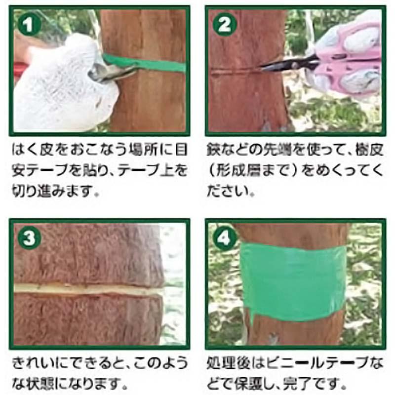 環状はく皮ナイフ B-9 サボテン カSD |  | 04