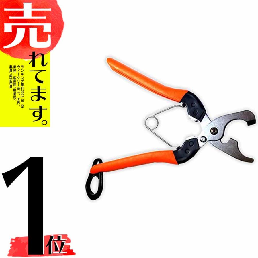 2段式 芽キズ鋏 MEBUKI B-11 サボテン カSD | 