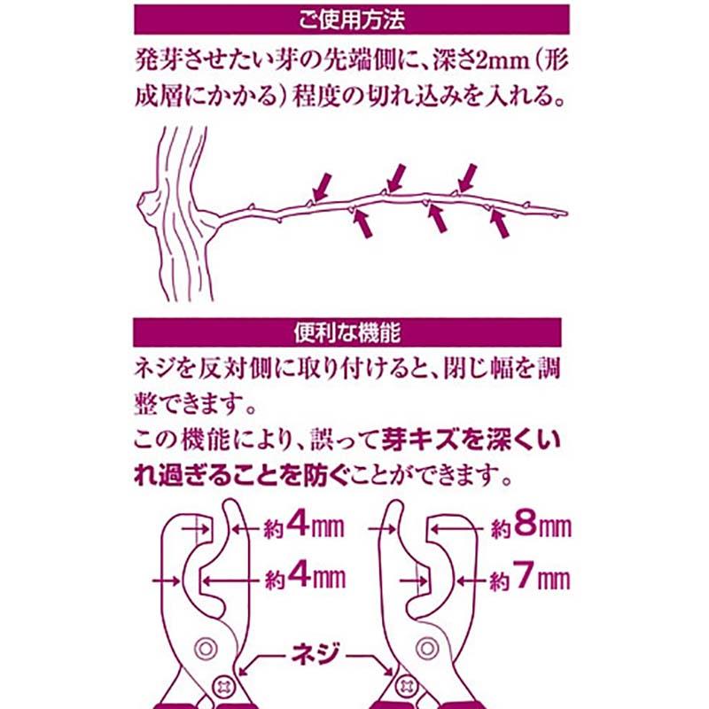 2段式 芽キズ鋏 MEBUKI B-11 サボテン カSD |  | 01