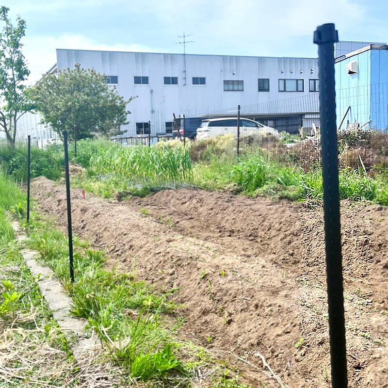 50本 防獣杭 直径20mm×1500mm シN 個人宅配送不可 代引不可 | SHINSEI | 02