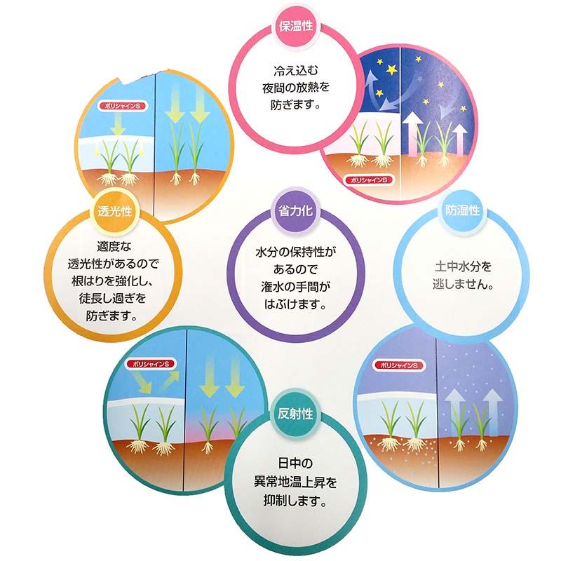 2本 ポリシャインS 無穴 育苗用 2.0m×50m エーアイシーテック カ施 北海道不可 代引不可 |  | 01