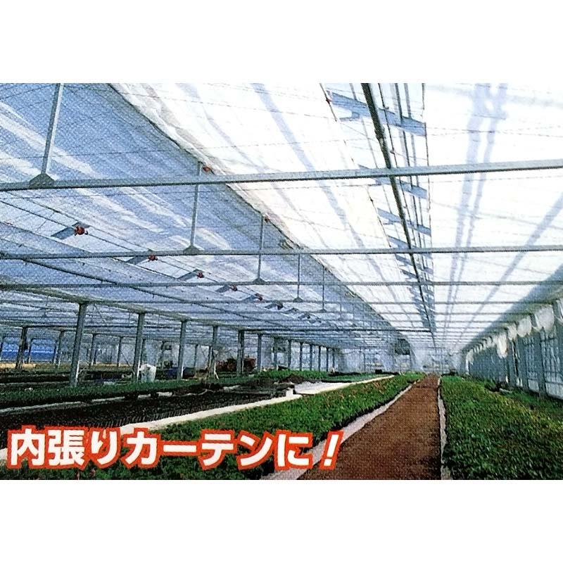 スカイテック E05050 幅200cm 長さ100m 内張りカーテン 不織布 タキイ種苗 北海道不可 代引不可 |  | 01