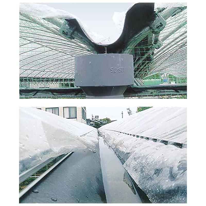 連棟ハウス用 谷樋シート 30m巻 簡単設置 雨樋シート ビニールハウス