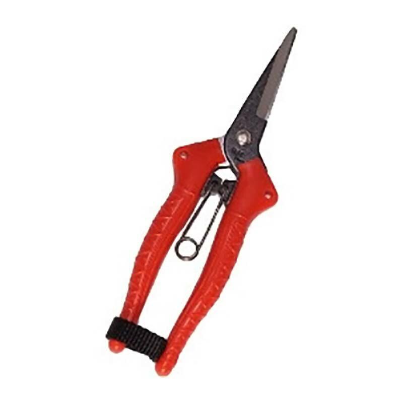 ラブリー鋏 数え 方 最高のぬりえ