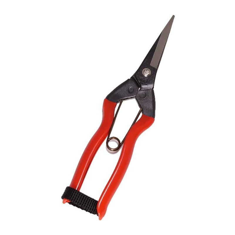 20丁 J-11 青果鋏 小 小林製鋏 H : 農業用品販売のプラスワイズ - 通販