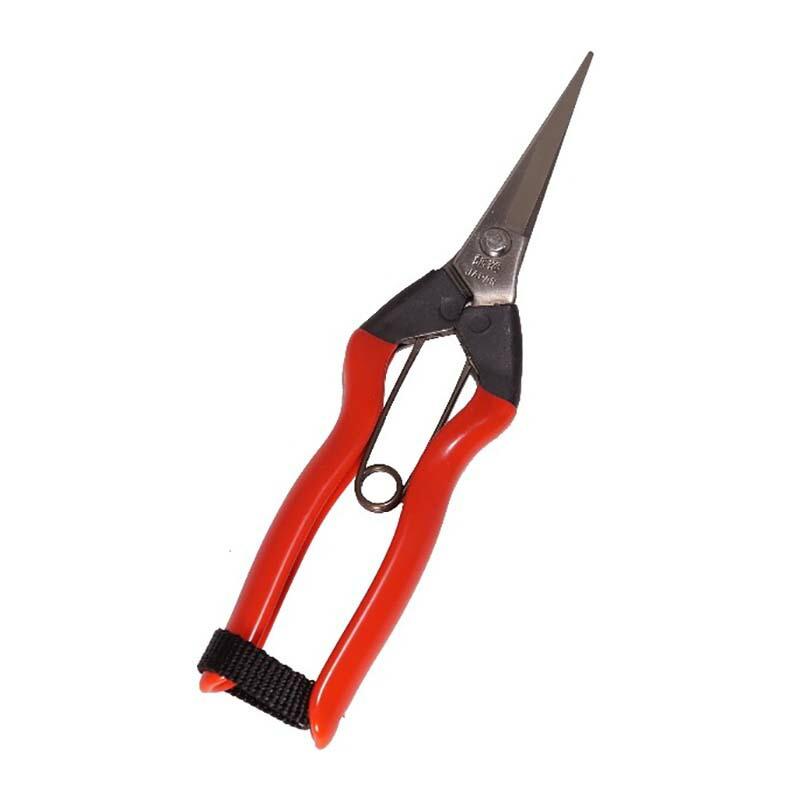 20丁 K-9 ステンレス 摘果鋏 小林製鋏 H | 