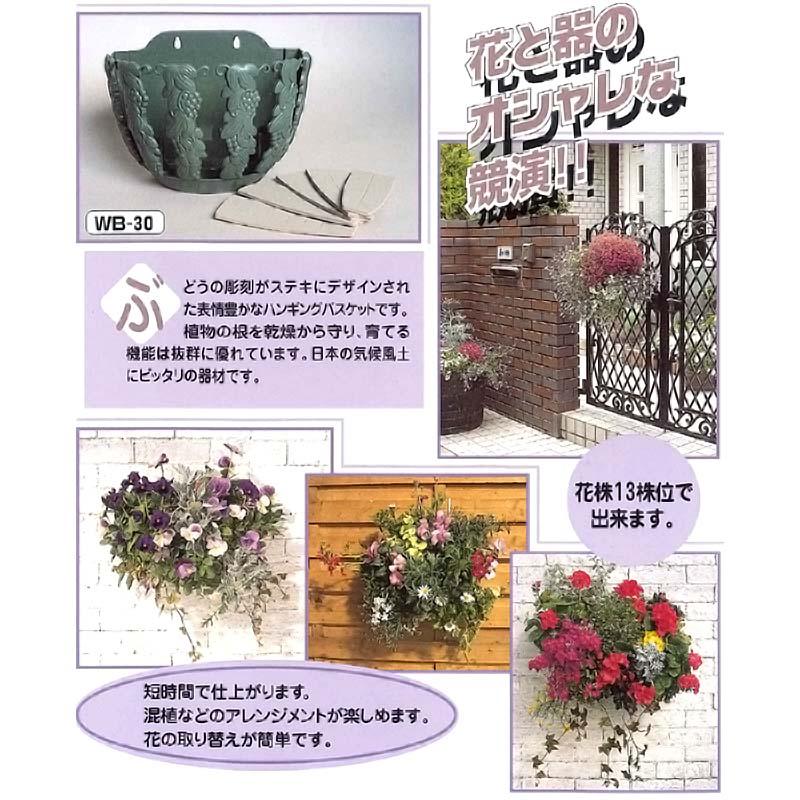 24個 エレガンスバスケット WB-30 ハンギングバスケット 伊藤商事 タS D |  | 01