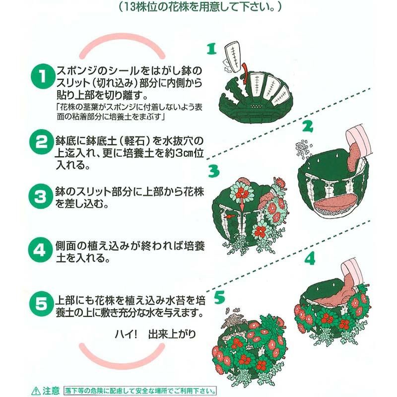 24個 エレガンスバスケット WB-30 ハンギングバスケット 伊藤商事 タS D |  | 02