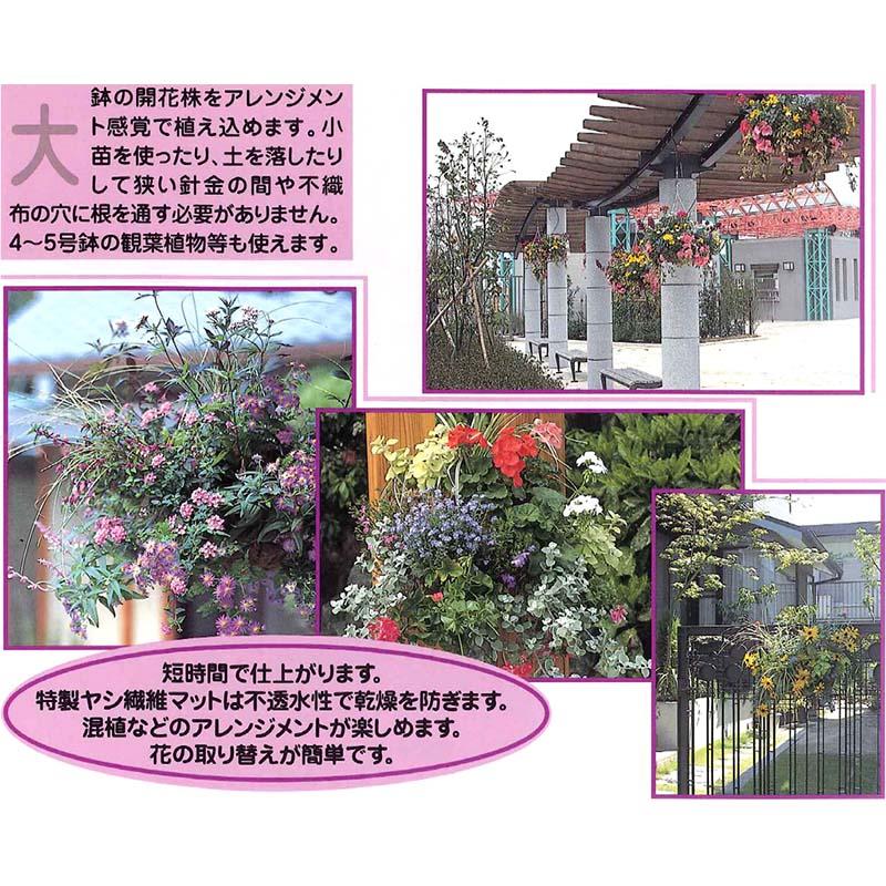 6個 ワイヤーバスケット 吊 HB-35 ハンギングバスケット 伊藤商事 タS D |  | 01