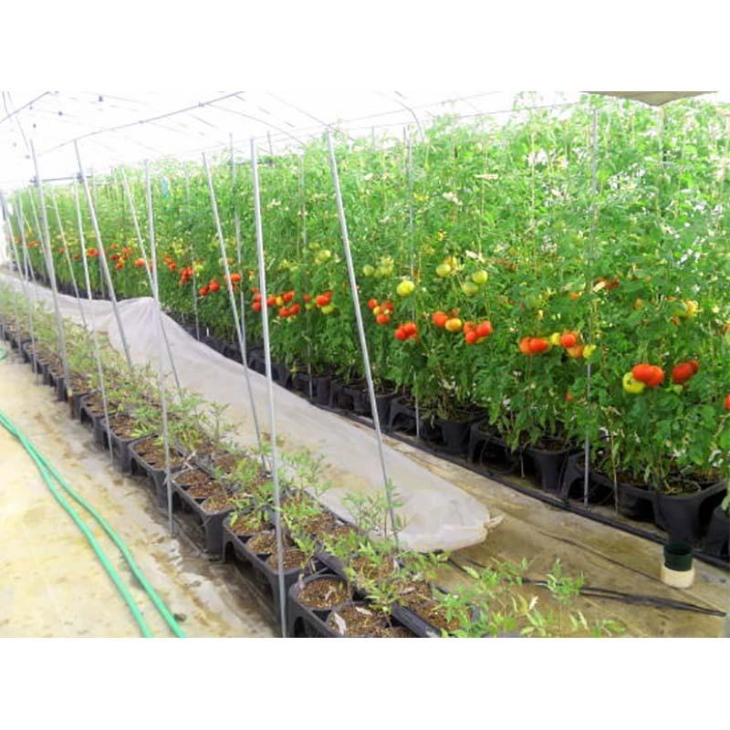 20枚 空中ポットレストレー 72連結 脚付 阪中緑化資材 タS 代引不可 |  | 01