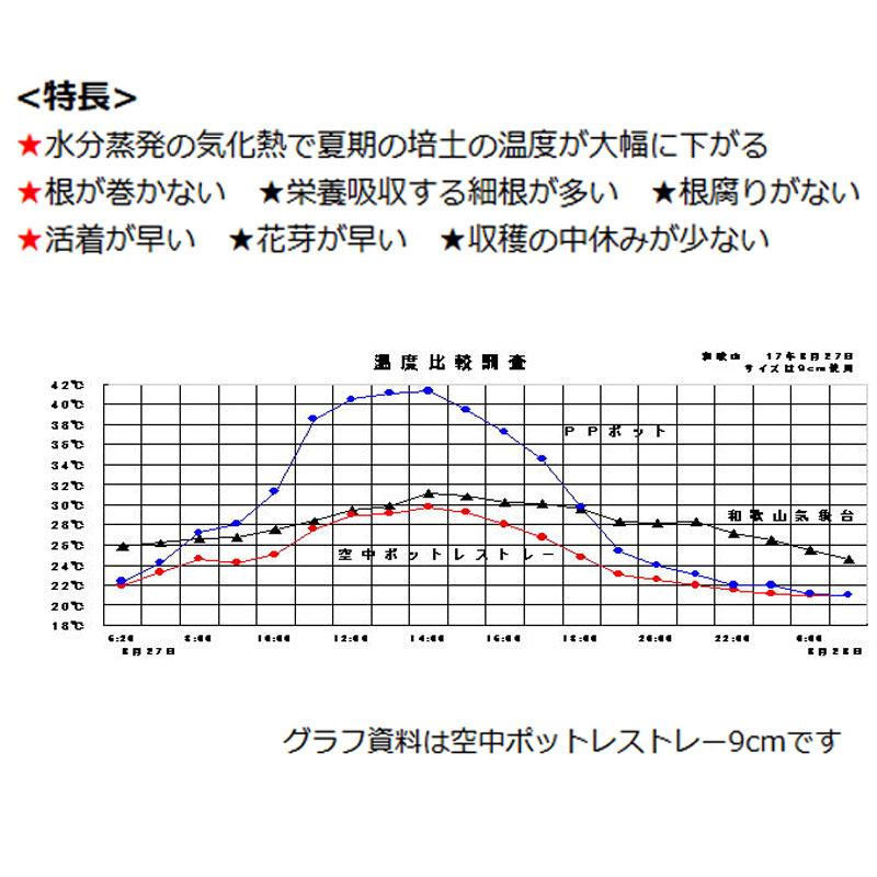 20枚 空中ポットレストレー 28穴 脚無 6.3cm 阪中緑化資材 タS 代引不可 |  | 05