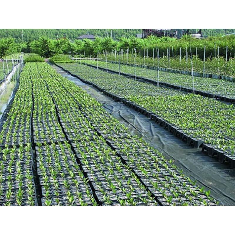 20枚 空中ポットレストレー 8穴 12.0cm 12cm 阪中緑化資材 タS 代引不可 |  | 02