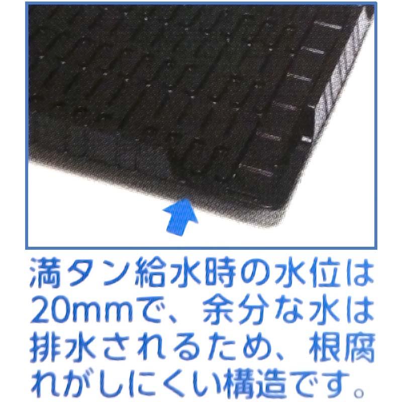 50枚 底面給水バット アンダートレイ タキイ種苗 個人宅配送不可 北海道不可 代引不可 |  | 02