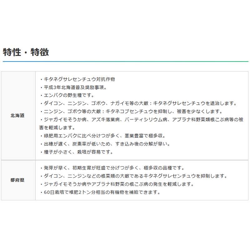種 10kg ヘイオーツ 線虫抑制 アウェナストリゴサ緑肥 えん麦 えんばく 雪印種苗 米S 代引不可 (登録品種名:ヘイオーツ) |  | 01