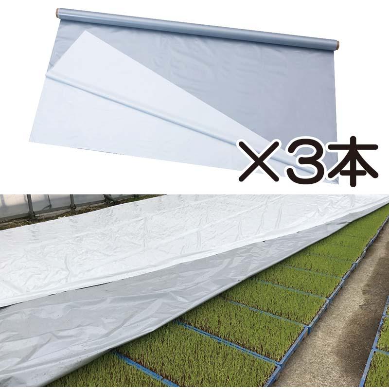 3本 ハイホワイトシルバー 2.3×50m 育苗用シート 水稲用 苗焼け防止 高反射 保温 地温抑制 夜間 保水性 ハウス プール育苗 被覆資材 岩谷マテリアル 230 タSDZ | 