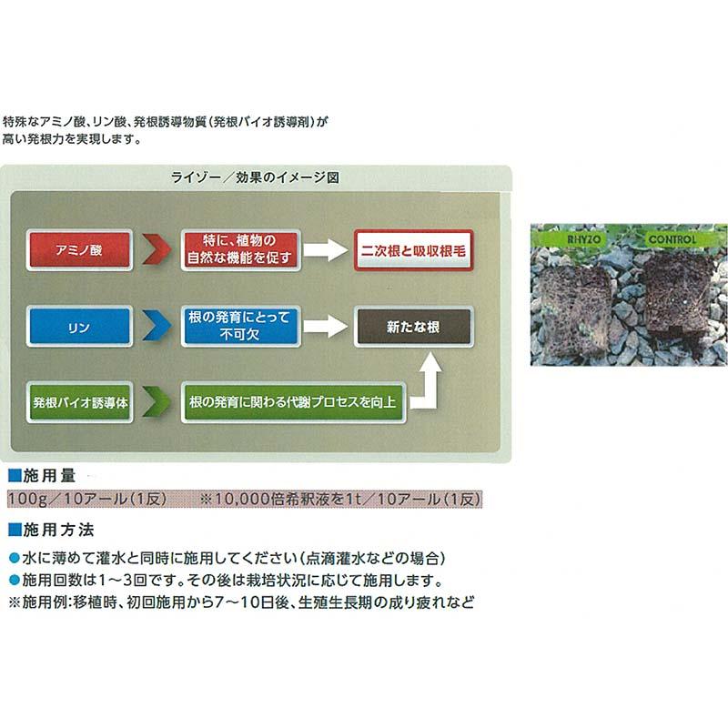 ライゾー 1kg RHYZO 粉状 発根促進剤 肥料 家庭菜園 業務用 いちご 野菜 植物 苗木 根 活性化 農業 ハイポネックス HYPONeX バイオスティミュラント資材 DZ | ハイポネックス | 02