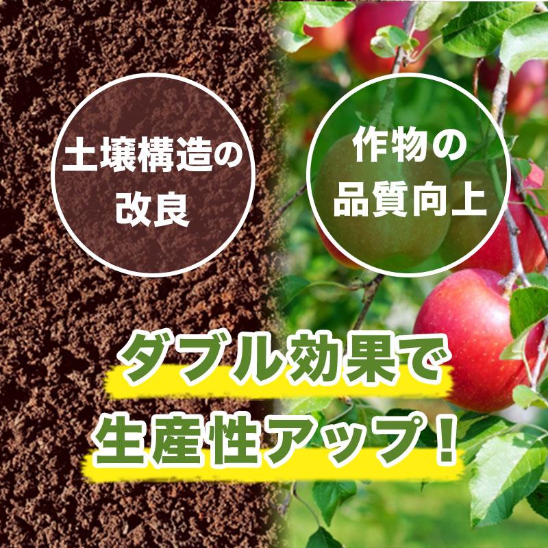 ボンバルディア 1L BOMBARDIER 有機活力液肥 ハイポネックス HYPONEX バイオスティミュラント 免疫力 成長力 アミノ酸 フルボ酸 Vデ DZ | ハイポネックス | 02