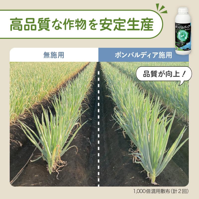 ボンバルディア 1L BOMBARDIER 有機活力液肥 ハイポネックス HYPONEX バイオスティミュラント 免疫力 成長力 アミノ酸 フルボ酸 Vデ DZ | ハイポネックス | 06