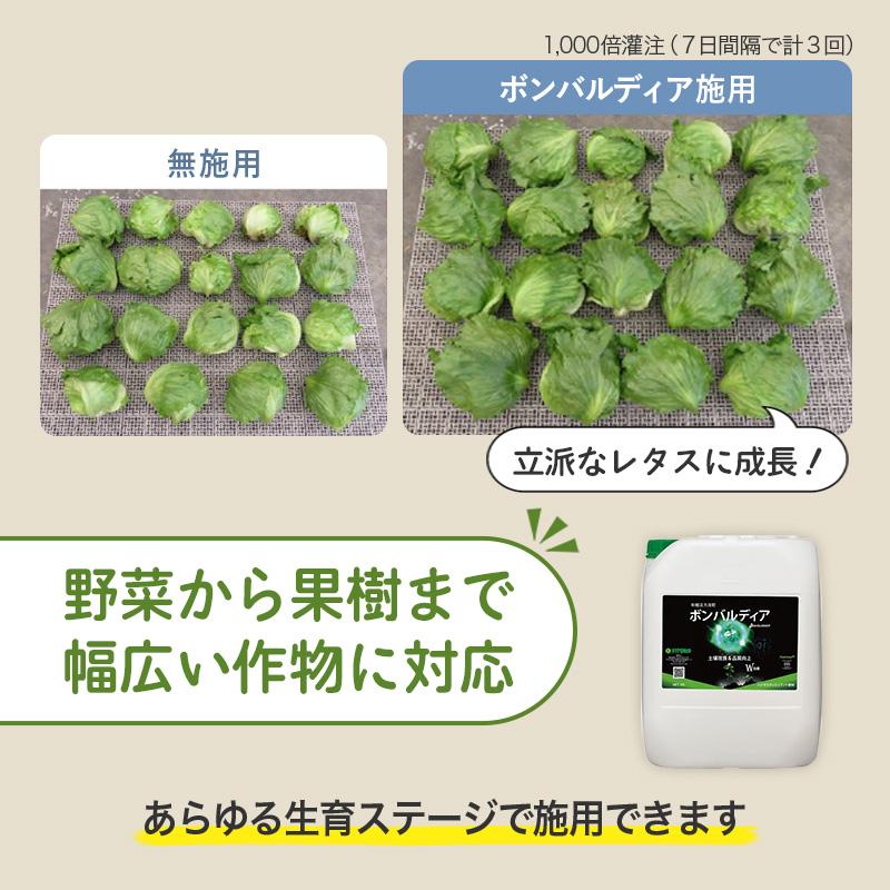 ボンバルディア 1L BOMBARDIER 有機活力液肥 ハイポネックス HYPONEX バイオスティミュラント 免疫力 成長力 アミノ酸 フルボ酸 Vデ DZ | ハイポネックス | 07