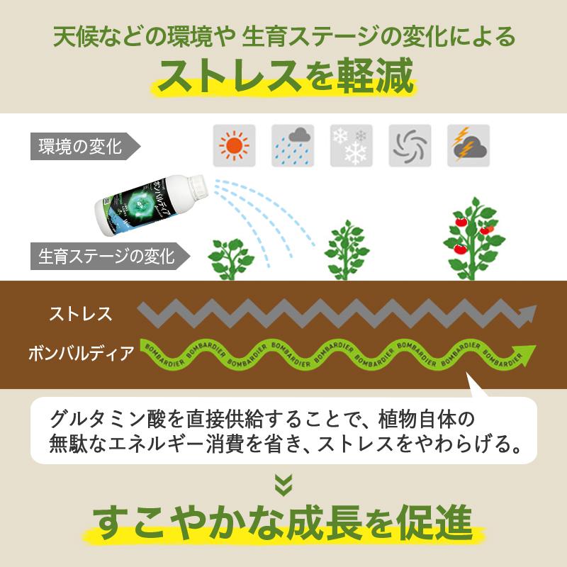ボンバルディア 1L BOMBARDIER 有機活力液肥 ハイポネックス HYPONEX バイオスティミュラント 免疫力 成長力 アミノ酸 フルボ酸 Vデ DZ | ハイポネックス | 08
