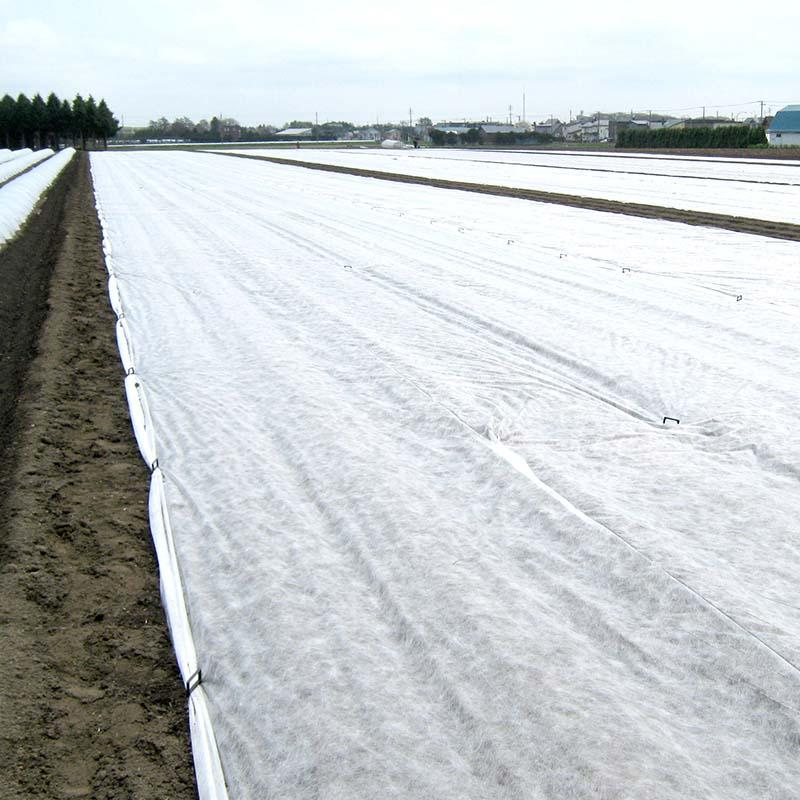個人宅配送不可 6本 暖暖シート 農業用べたがけ資材 幅1.8×200m 不織布 保温用資材 だんだんシート 第一ビニール 第B 代引不可 |  | 01