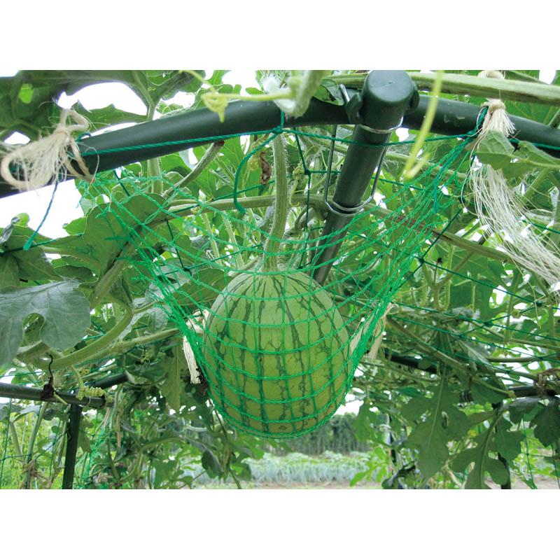 4セット 空中栽培 つる棚セット TDS-1.8-H カボチャ 小玉スイカ 等 第一ビニール 第B 個人宅配送不可 代引不可 |  | 02