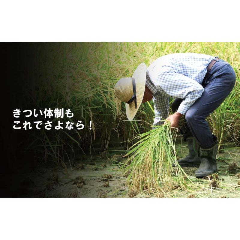 かりとりくん 人力稲刈り機 稲刈 角刈り 隅刈り 手刈り 刈り取り 稲刈り 稲刈り機 稲 収穫 押切 刈り取り君 かりとり君 腰痛 疲労 負担 軽減 オK 代引不可 |  | 02