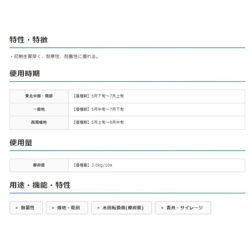 種 2kg ソルガム テキサスグリーン 雪印種苗 米S 代引不可 (登録品種名:テキサスグリーン) |  | 01