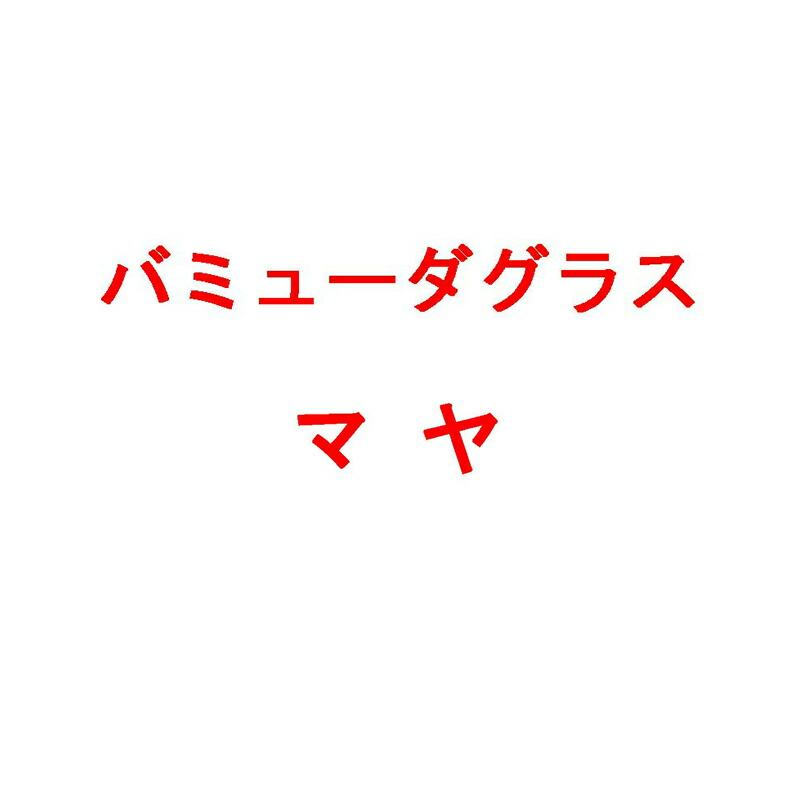 種 1kg バミューダグラス マヤ 雪印種苗 米S 代引不可 (登録品種名:マヤ) | 