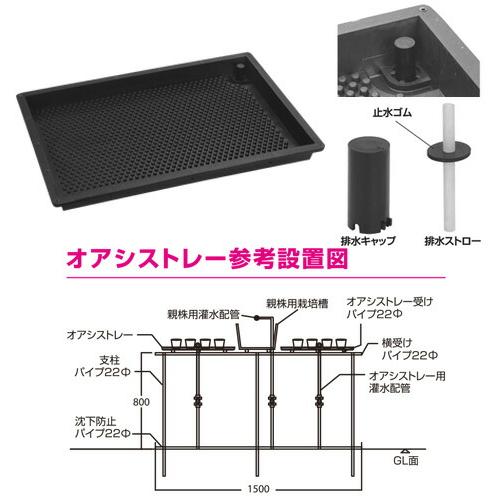 5枚 底面給水 オアシストレーセット 排水キャップ、排水ストロー、止水ゴム付き イチゴ栽培 炭疽病 サンポリ 北海道不可 個人宅配送不可 代引不可 |  | 02