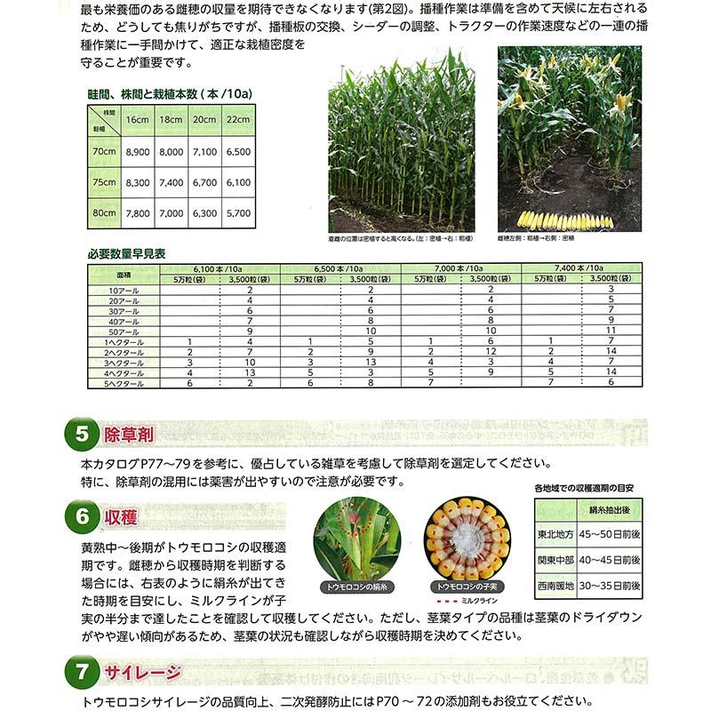 種 3500粒 トウモロコシ スノーデント108 早生 LG3490 飼料作物 とうもろこし 雪印種苗 米S 代引不可 (登録品種名:LG3490) |  | 04