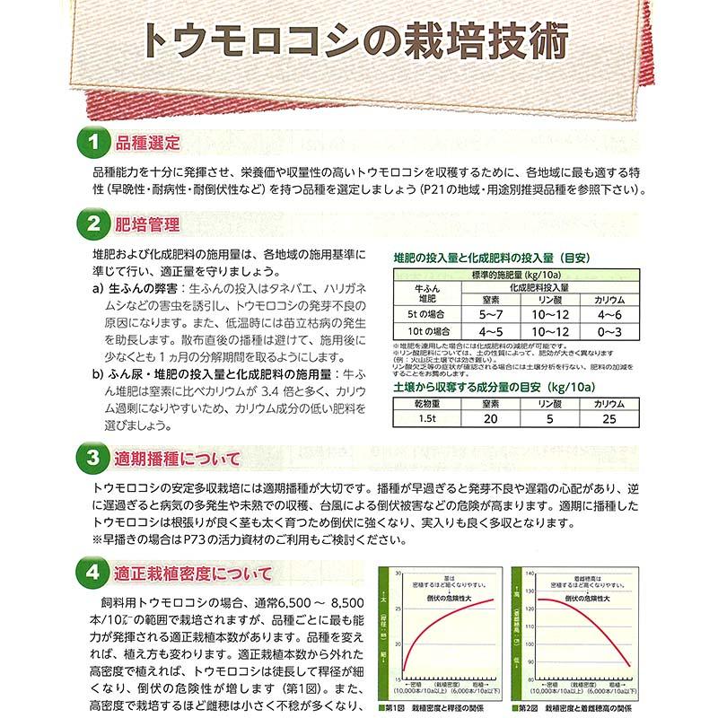 種 3500粒 トウモロコシ スノーデント125T 中生 SH2821 飼料作物 とうもろこし 雪印種苗 米S 代引不可 (登録品種名:SH2821) |  | 03