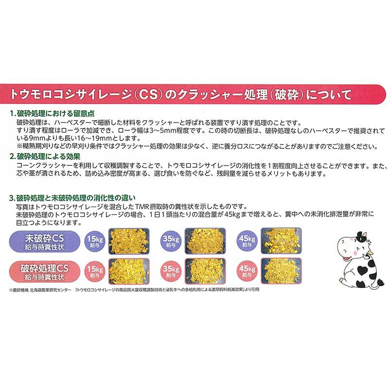 種 3500粒 トウモロコシ スノーデント125T 中生 SH2821 飼料作物 とうもろこし 雪印種苗 米S 代引不可 (登録品種名:SH2821) |  | 05