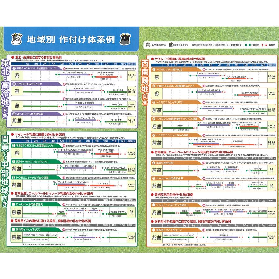 種 3500粒 トウモロコシ スノーデント125T 中生 SH2821 飼料作物 とうもろこし 雪印種苗 米S 代引不可 (登録品種名:SH2821) |  | 06