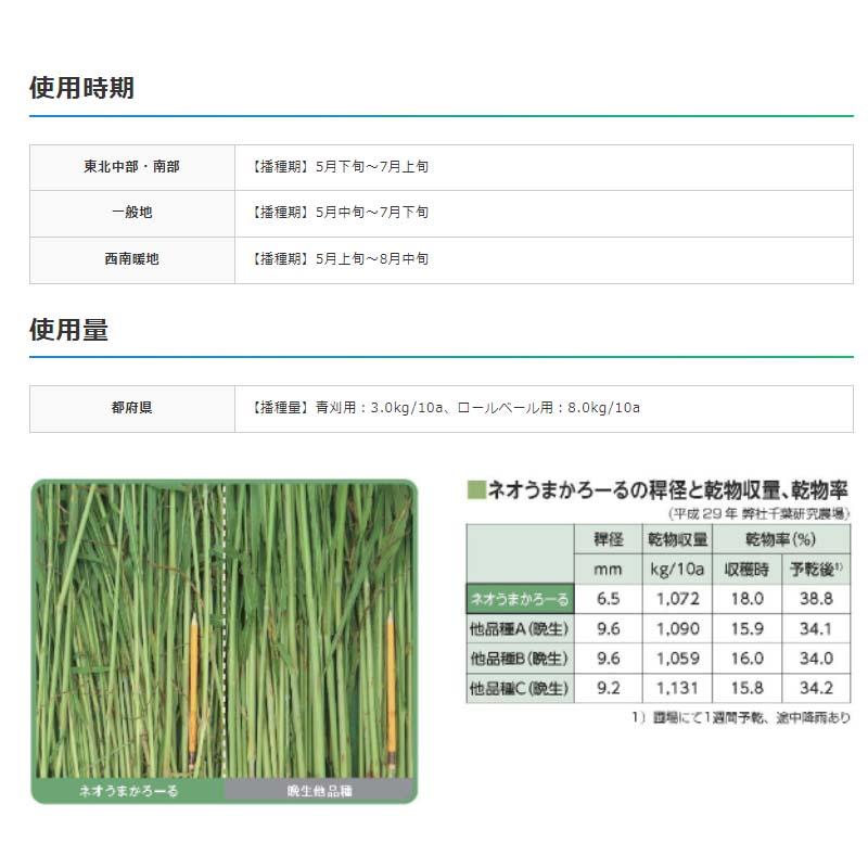 種 2kg スーダングラス ネオうまかろーる ニューダン 雪印種苗 米S 代引不可 (登録品種名:ニューダン) |  | 01