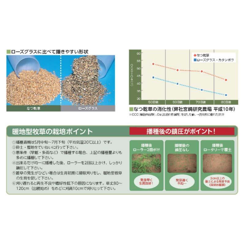 種 2kg アワ なつ乾草 雪印種苗 米S 代引不可 (登録品種名:なつ乾草) |  | 02