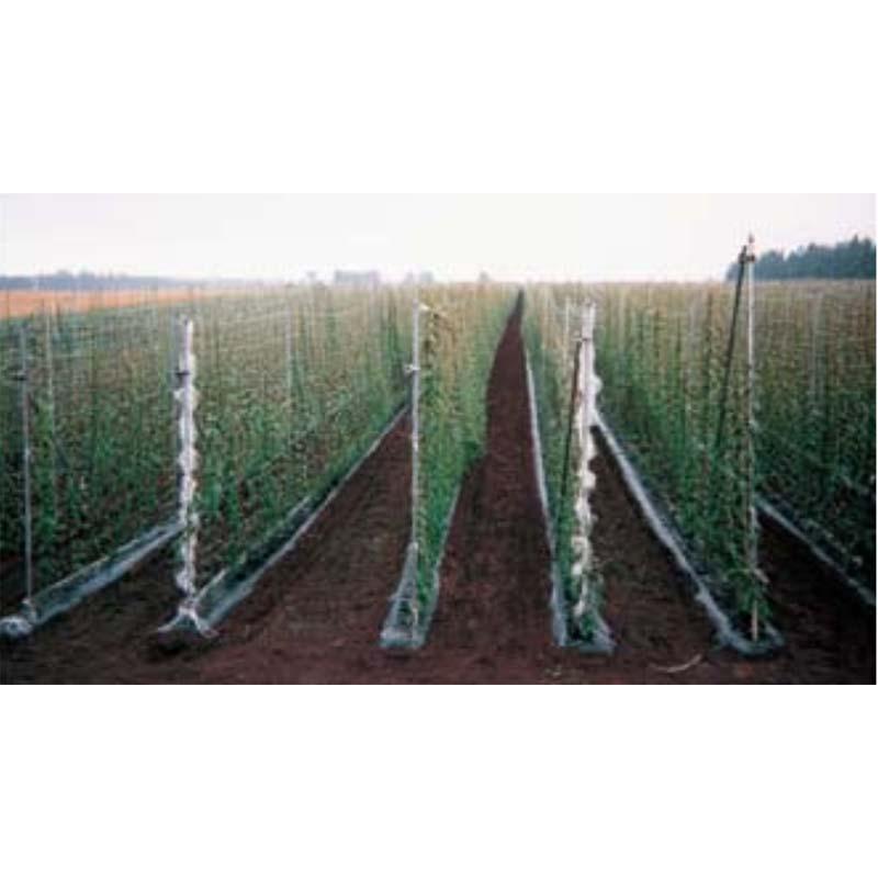 15個 MARSOL ナガイモネット 菱目 HC09222 目合い24cm 巾1.8m×長さ300m 長芋 日本マタイ 代引不可 | 