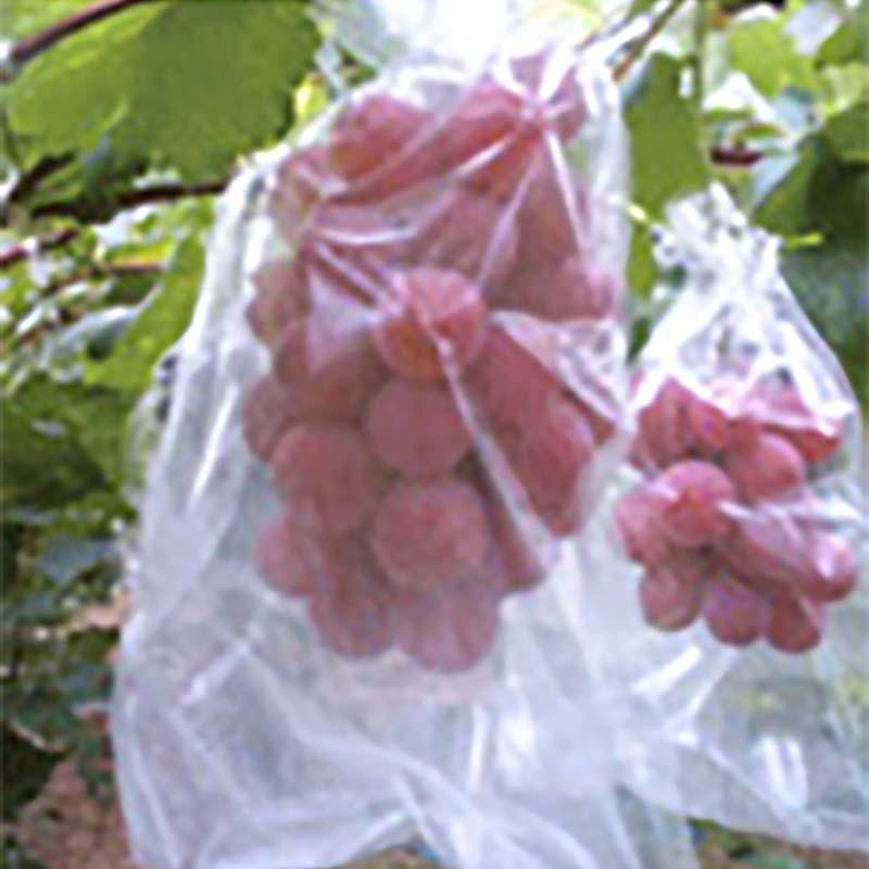 3000枚 BIKOO 果実保護袋 一重袋 Mサイズ 200×300mm 美孔 び孔 ぶどう りんご 等 果実袋 タL 代引不可 |  | 04