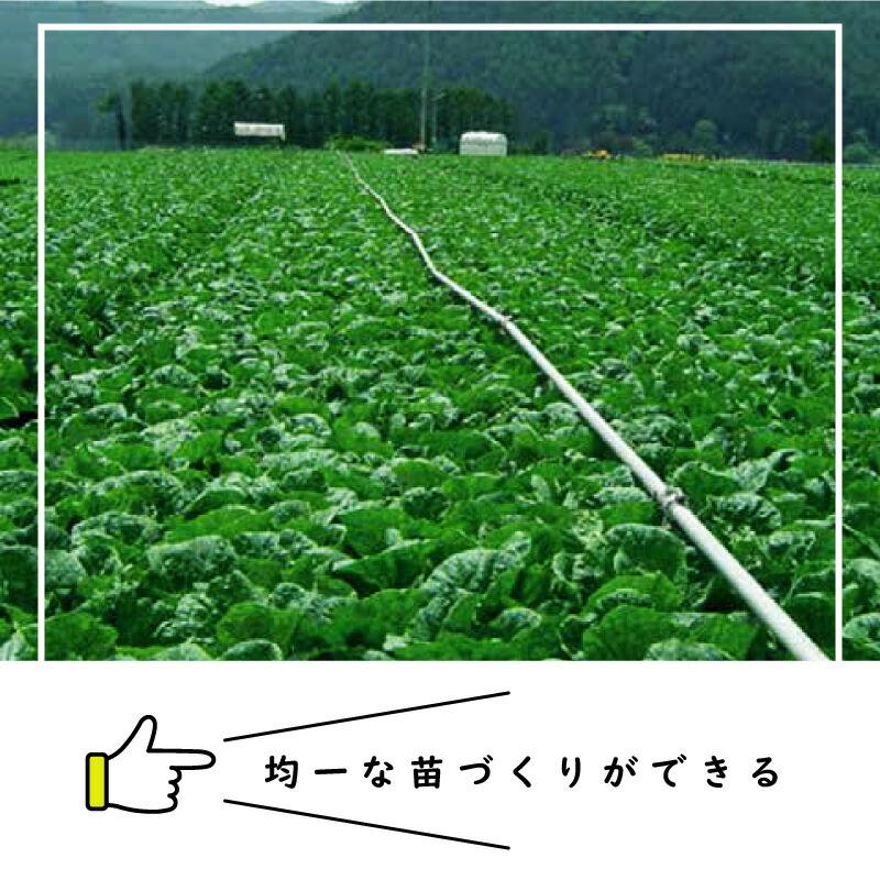 ペーパーポット No.10 10号 200冊 (個) 72鉢 紙筒 播種 種まき 育苗 苗 白菜 キャベツ トマト キュウリ ニッテン タS 個人宅配送不可 代引不可 |  | 01