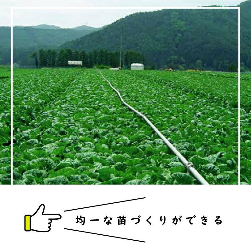 ペーパーポット No.14 14号 300冊 (個) 105鉢 紙筒 播種 種まき 育苗 苗 白菜 キャベツ ハナヤサイ レタス ニッテン タS 個人宅配送不可 代引不可 |  | 01