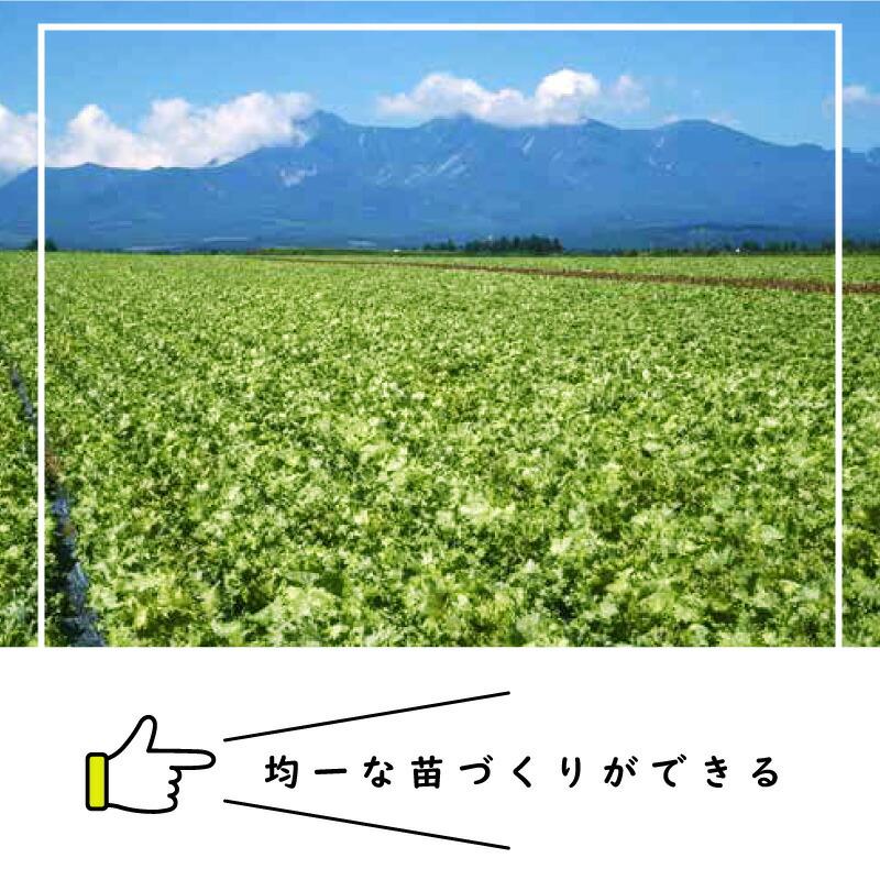 ペーパーポット V-4 200冊 (個) 162鉢 紙筒 播種 種まき 育苗 苗 レタス キャベツ 白菜 南瓜 野菜 ニッテン タS 個人宅配送不可 代引不可 |  | 01